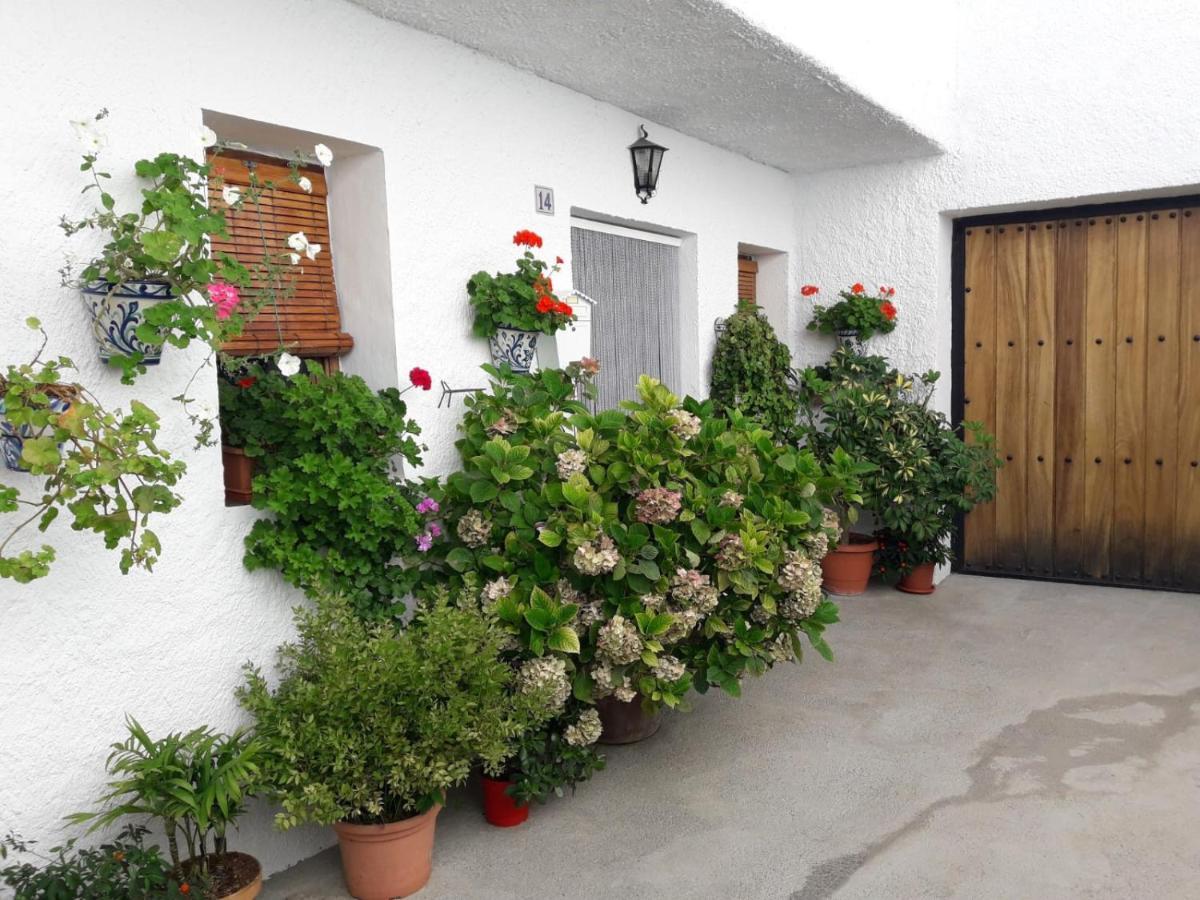 Ferienwohnung Casa La Huerta Bubión Exterior foto